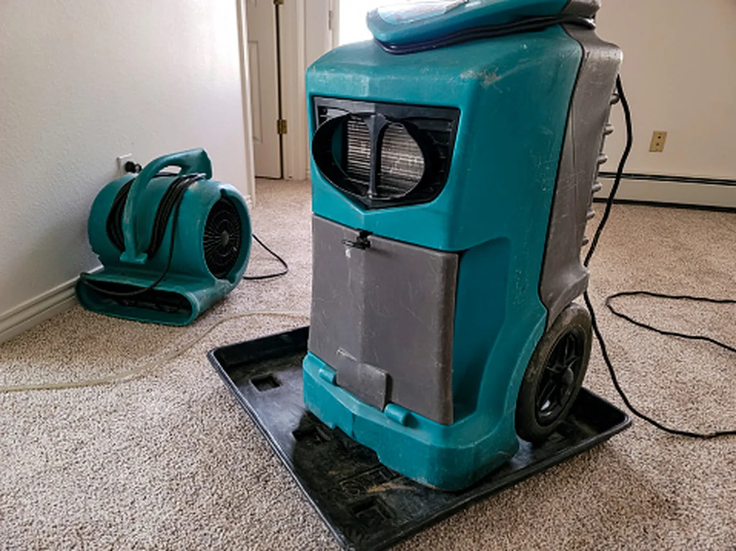 Kanzler Facility GmbH - Hausmeisterservice, Reinigung, sanierung & Wasserschadensanierung - Luftentfeuchter, Verwendung bei der Wasserschadenbeseitigung